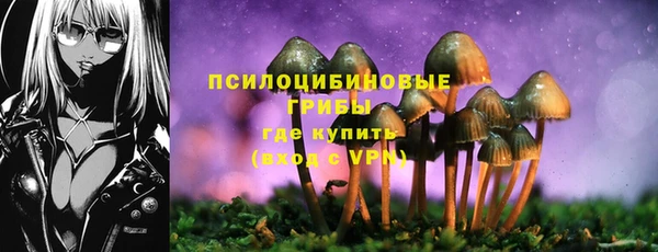 МДПВ Алексин