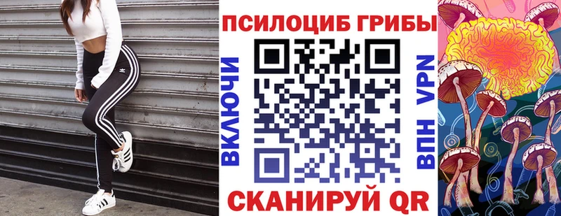 дарнет шоп  Феодосия  Псилоцибиновые грибы мухоморы 
